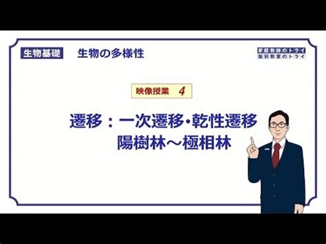 陽氣重的東西|陽氣最強的樹是什麼樹 